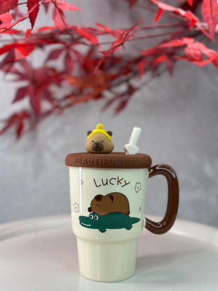 ماج دببه بني غطاء جلده